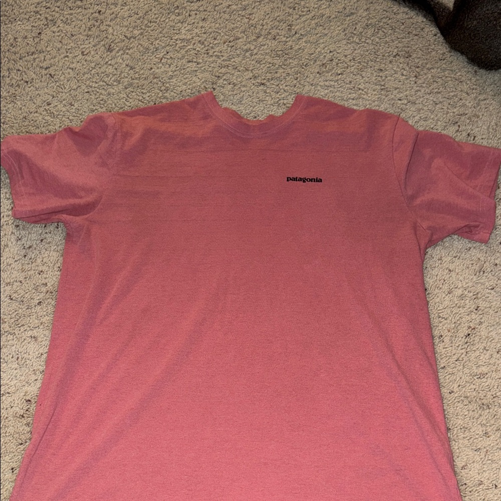 Patagonia Men's Short Sleeve Tee in Rose